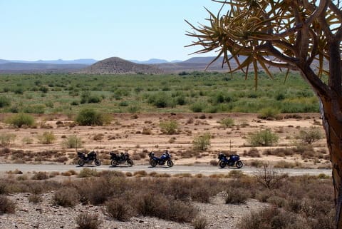 Nieuwoudtville Top Ten Cape Motorcycle Rides
