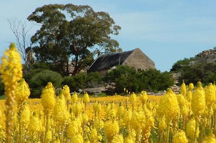 papkuilsfontein