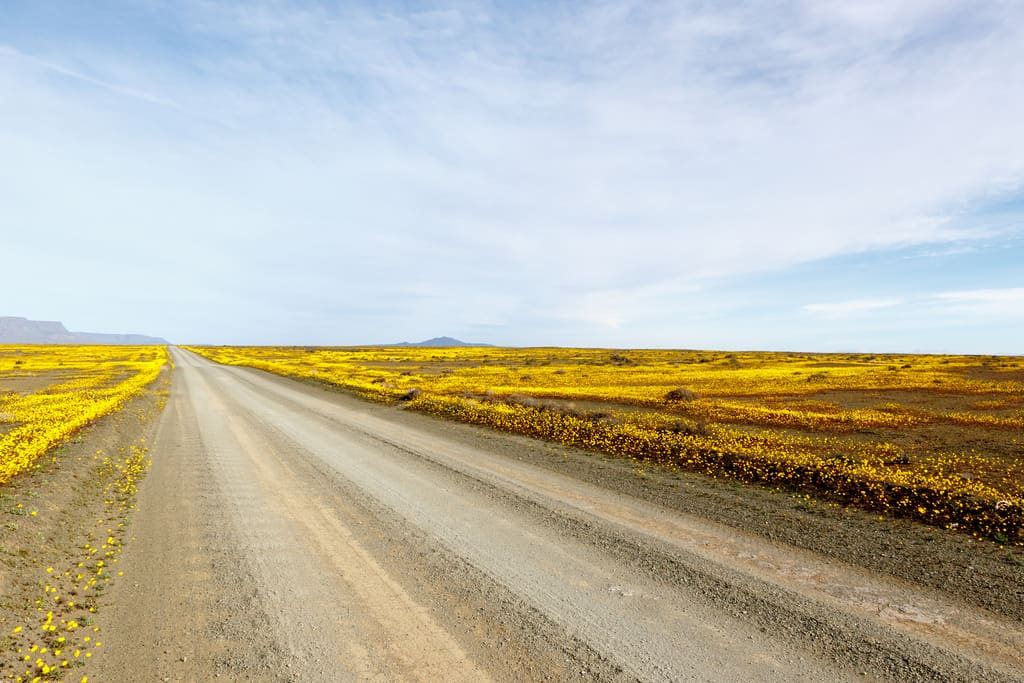 Cederberg Back Roads