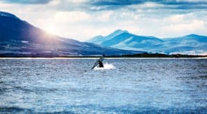 Whale tail in the Atlantic ocean over mountains background, wild