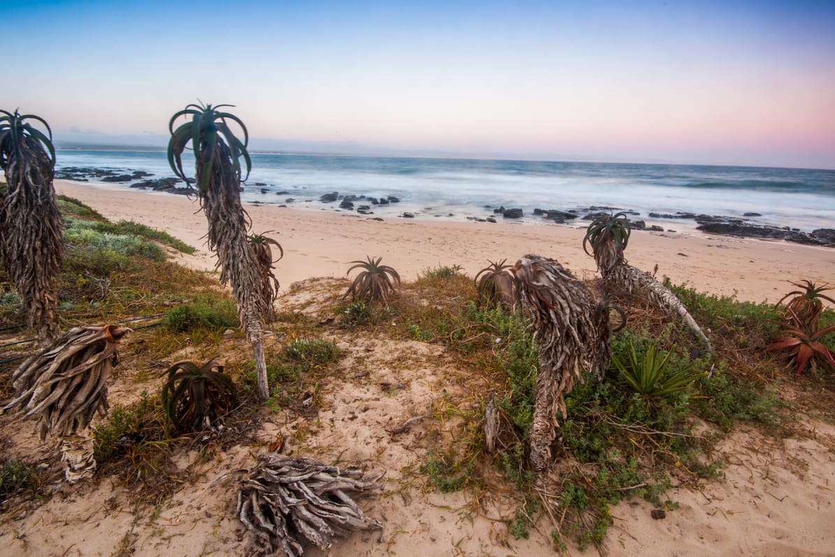 Jeffreys bay