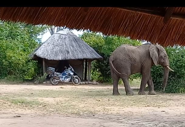 malawi 3 liwonde