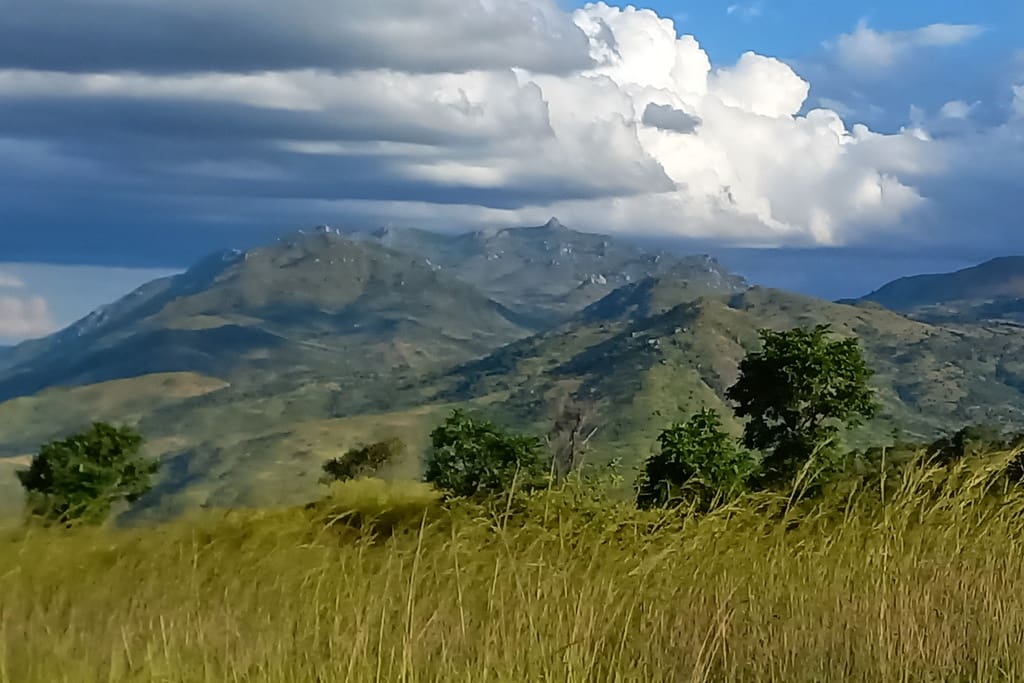 malawi 7
