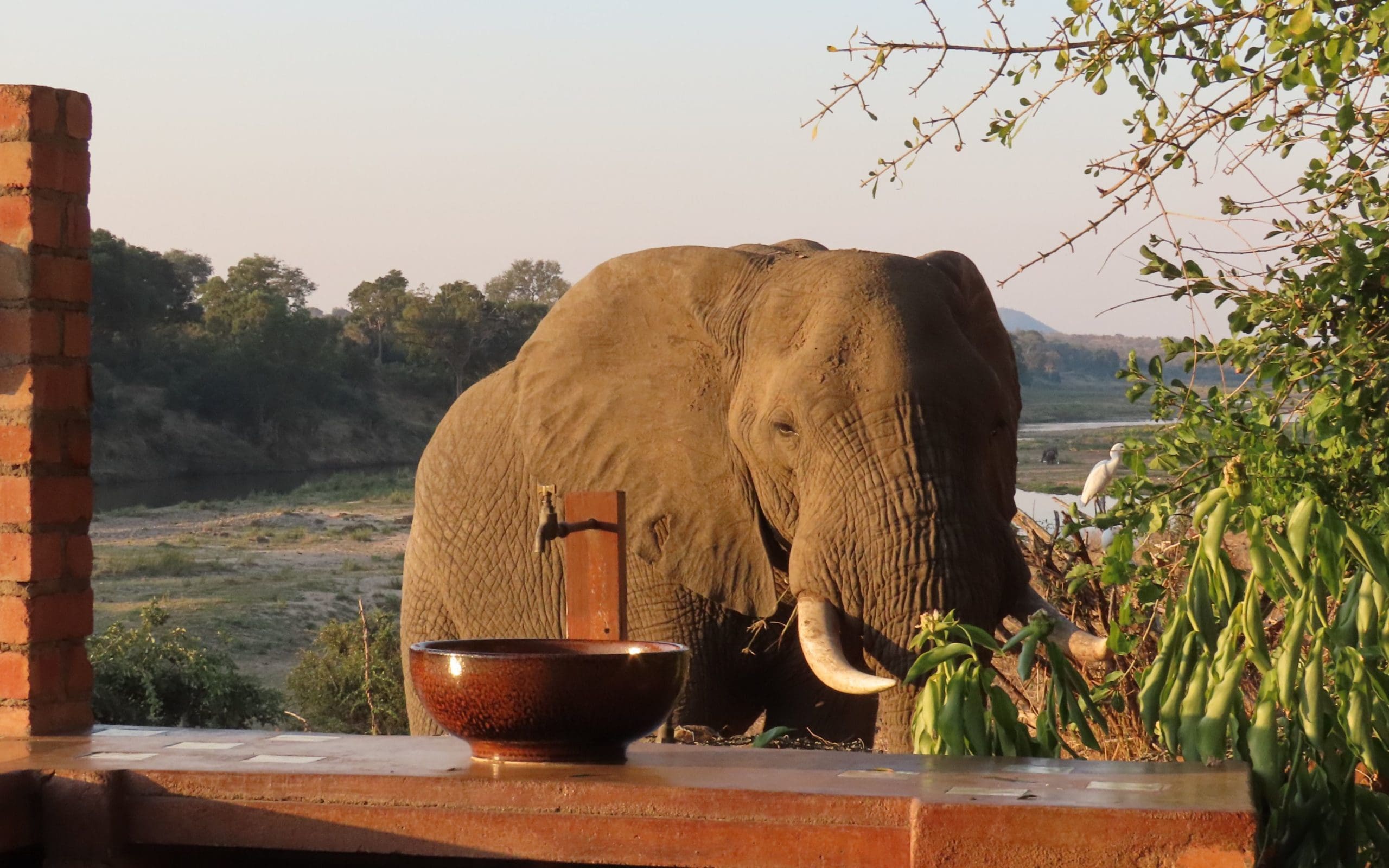 Cape to Kruger - Ride Down South