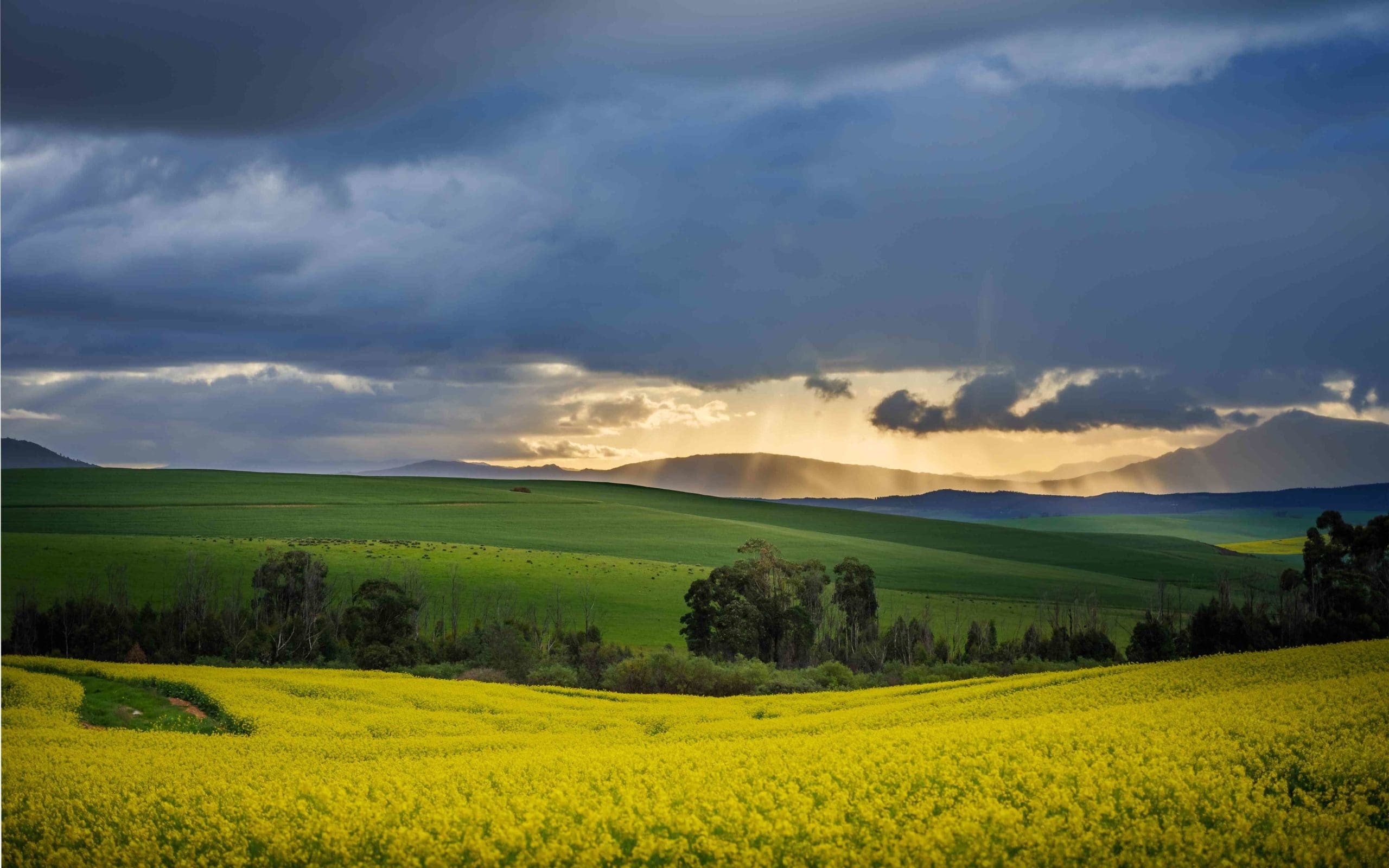 overberg