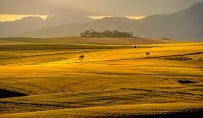 overberg4