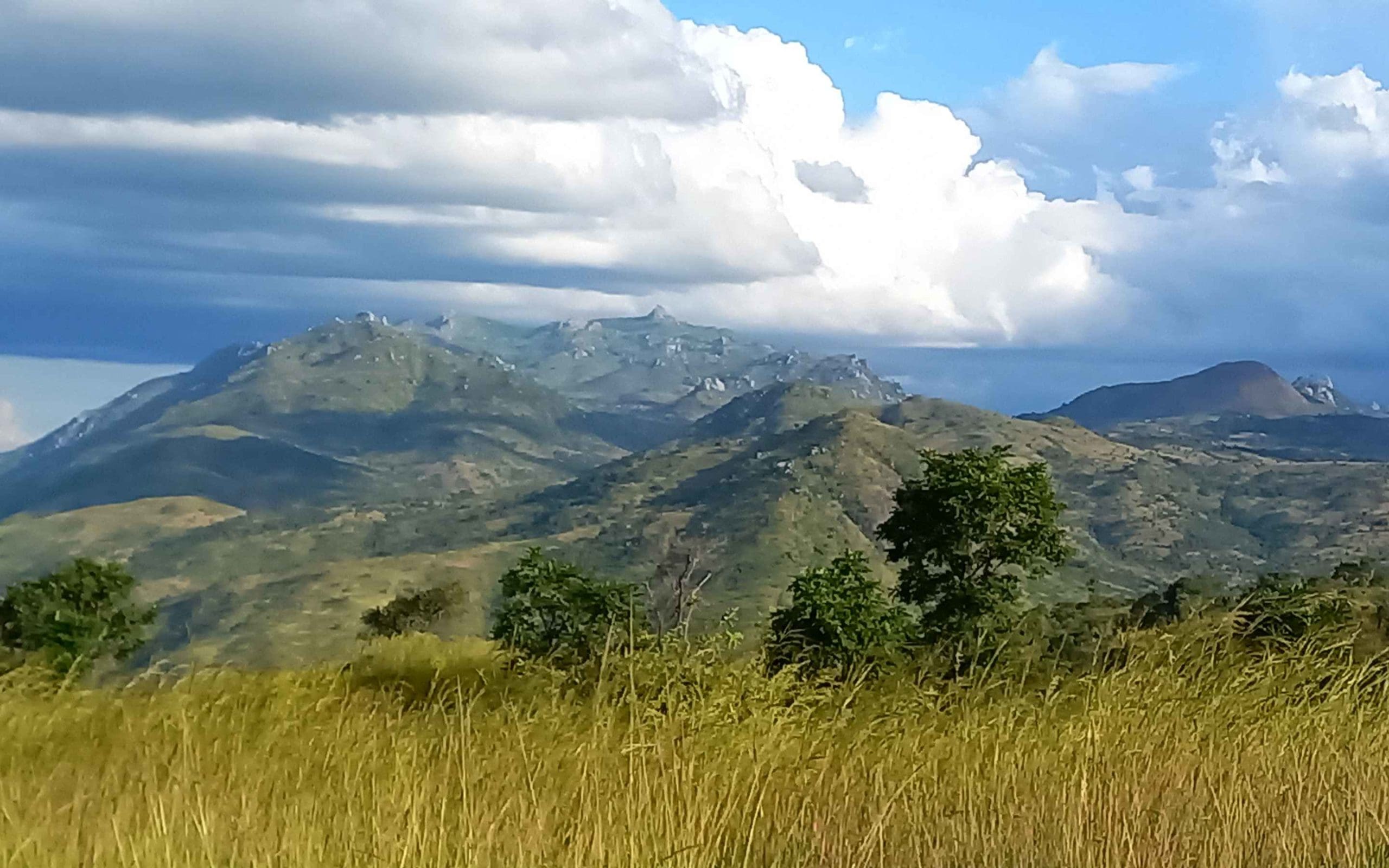 malawi highlands