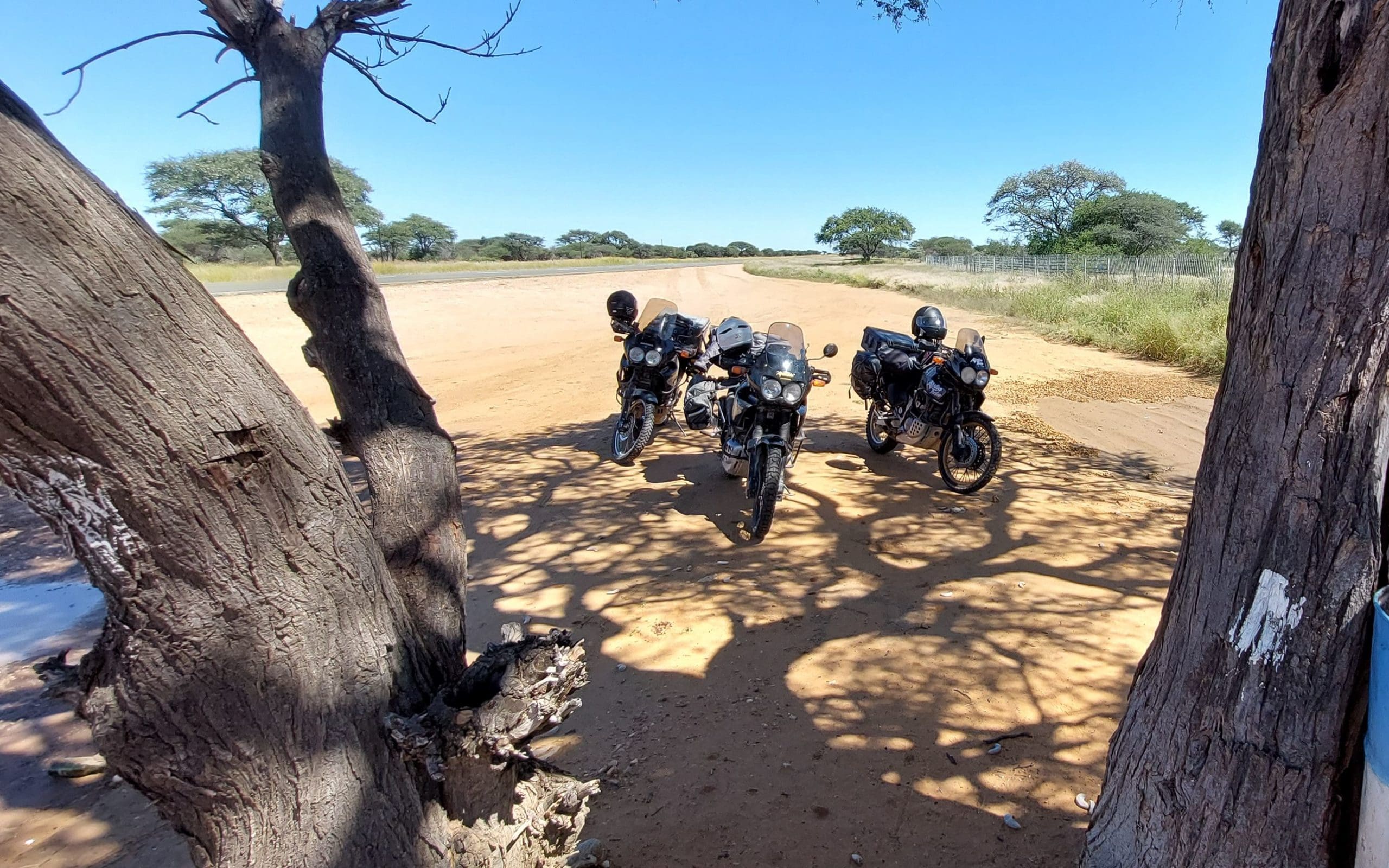 trans kalahari