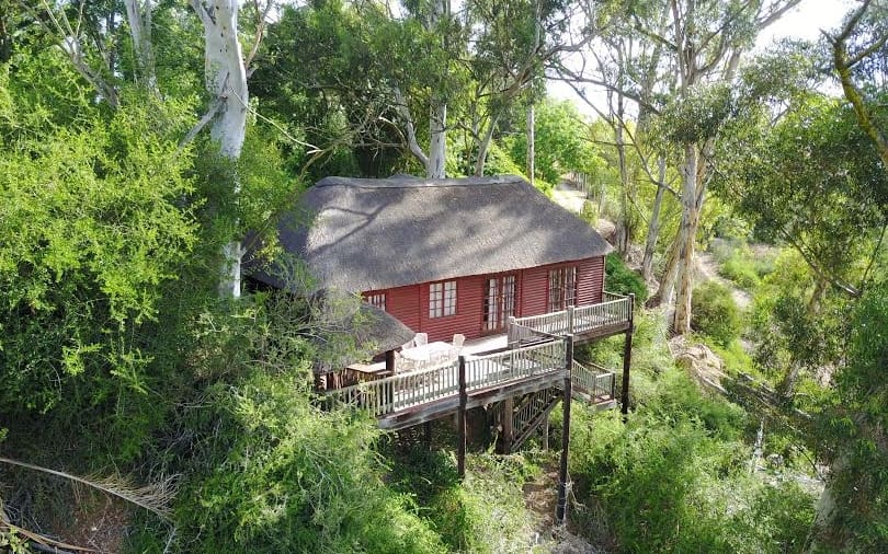 avoca addo 3