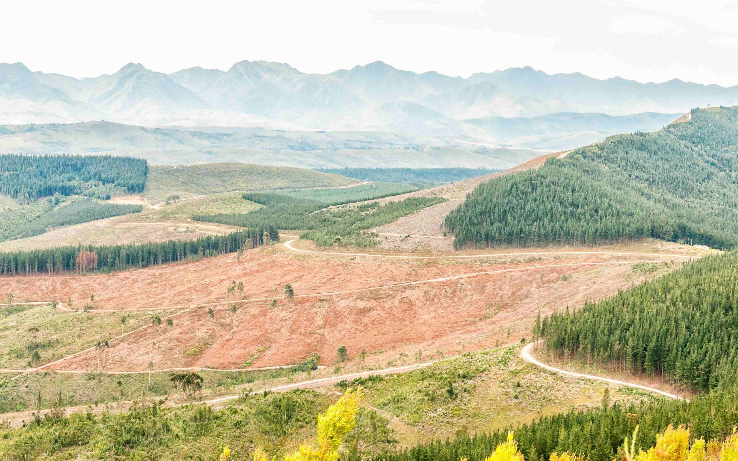 outeniqua pass 5