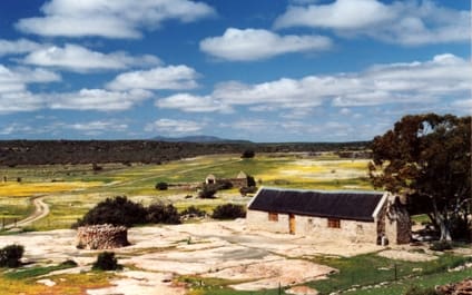 papkuilsfontein 5