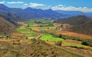 koo valley