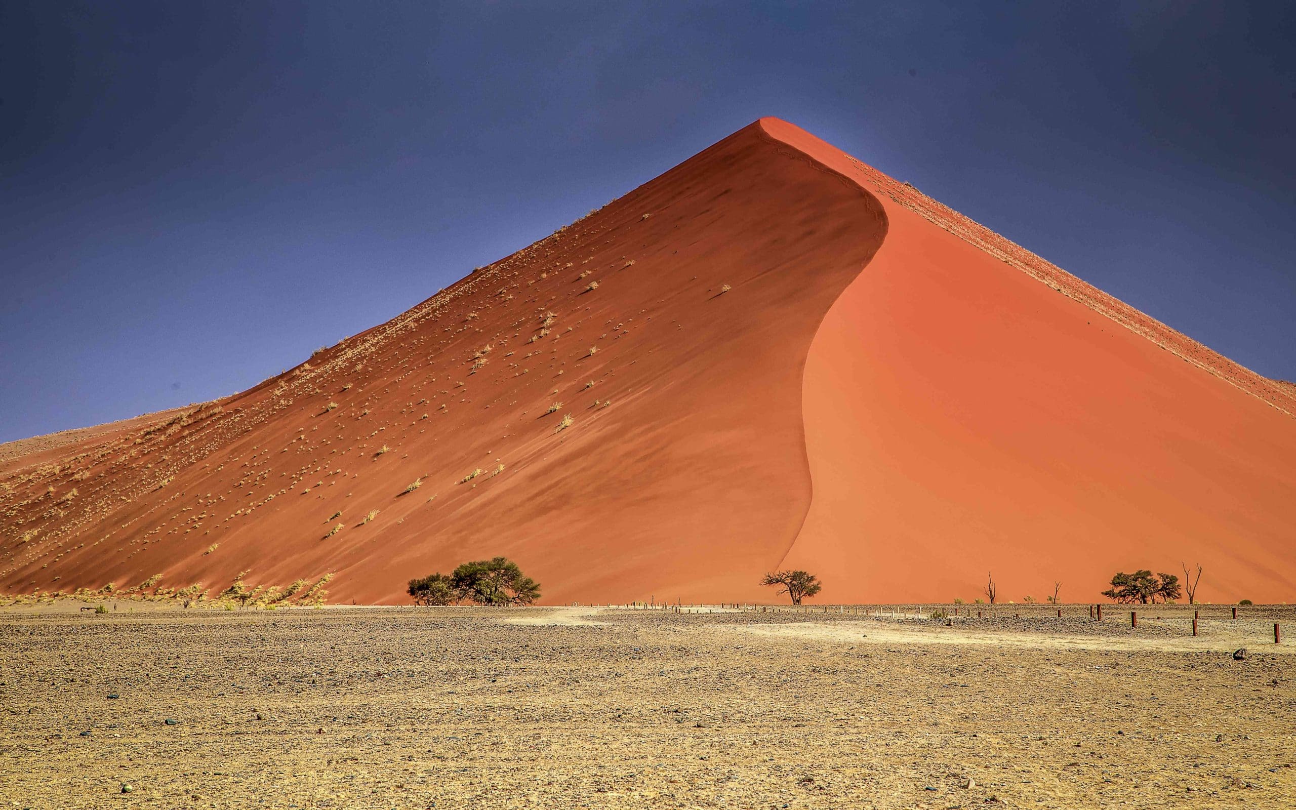bev-meldrum-namibia-002